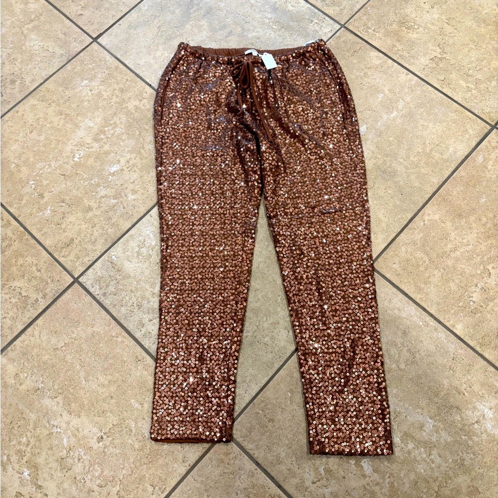 Splendid Glittery Pants